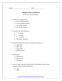 Ferrets Multiple Choice Worksheet