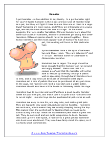 Hamsters Reading Worksheet