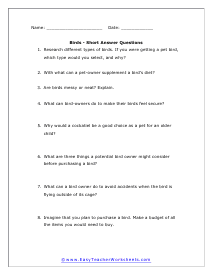 Birds Short Answer Worksheet