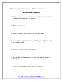 Iguana Short Answer Worksheet