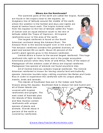 Rainforest Location Worksheet