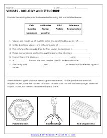 Bacteria and Virus Worksheets
