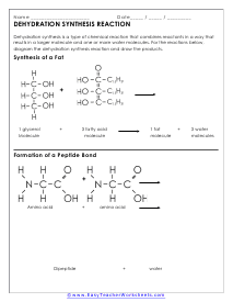 Dehydration Sythesis Reaction Worksheet