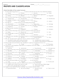 Protists Classification Worksheet