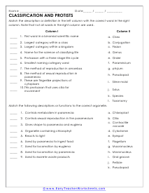 Classification of Protists Worksheet