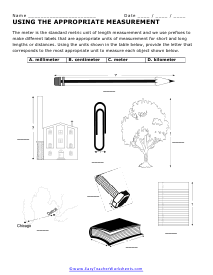 Appropriate Measures Worksheet