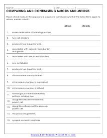 Comparing Mitosis and Meiosis Worksheet