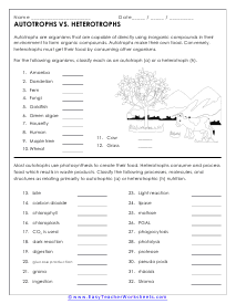 Autotroph and Heterotroph Worksheet