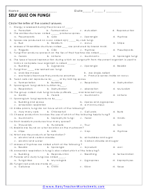 Fungi Quiz