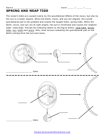 Neap Tide Worksheet