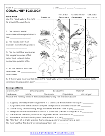 Ecology Worksheets