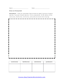 Draw an Ecosystem Worksheet