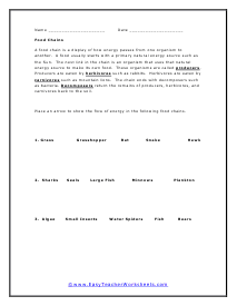 Food Chain Worksheet