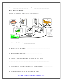 Food Webs Worksheet 1