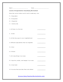 Organization Classifying Worksheet