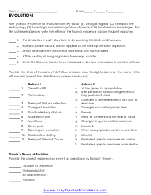 Evidence Worksheet