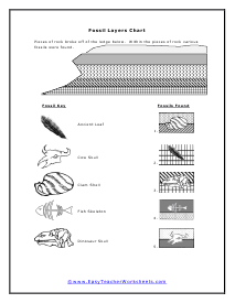 Fossil Record Worksheet