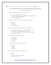 Excretory Multiple Choice Worksheet