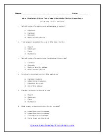 Types of Muscle Multiple Choice Worksheet