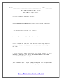 Muscle Short Answer Worksheet