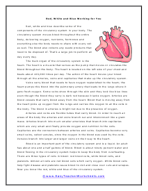 Circulatory System Reading Worksheet