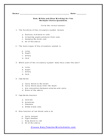 Circulatory System Multiple Choice Worksheet