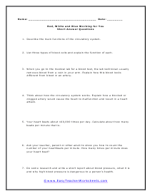 Circulatory Short Answer Worksheet