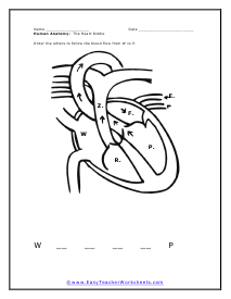 Blow Flow Worksheet