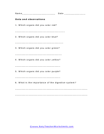 Data and Observations Worksheet