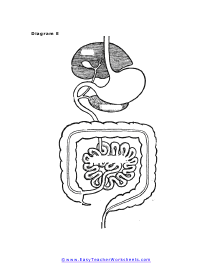 Diagram E