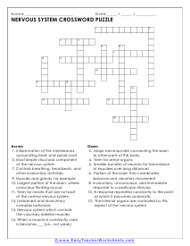 Nervous System Worksheet