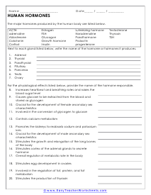 Hormones Worksheet