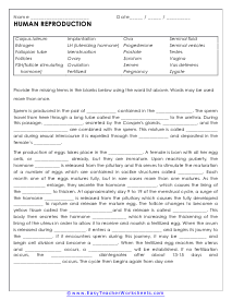 Human Reproduction Worksheet