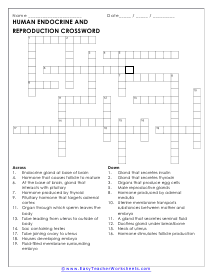 Crossword Worksheet