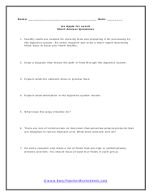 Digestive Short Answer Worksheet