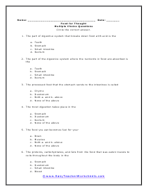 Food Multiple Choice Worksheet