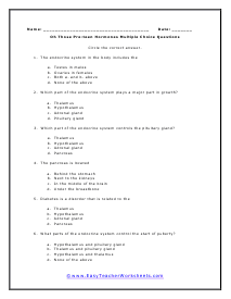 Endocrine Multiple Choice Worksheet