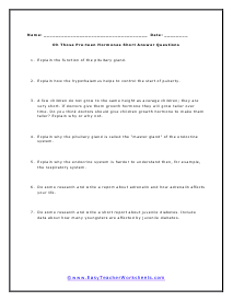 Endocrine Short Answer Worksheet