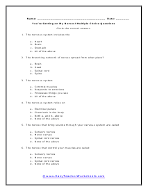 Nervous System Short Answer Worksheet