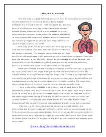 Respiratory Reading Worksheet