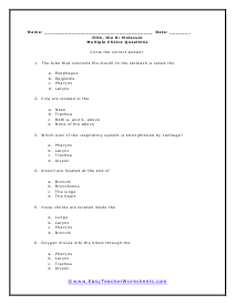 Respiratory Multiple Choice Worksheet