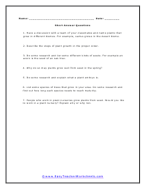 Short Answer Worksheet