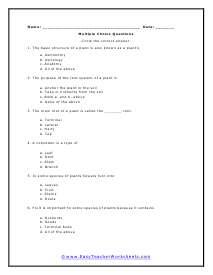 Multiple Choice Worksheet