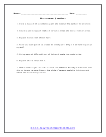 Anatomy Short Answer Worksheet