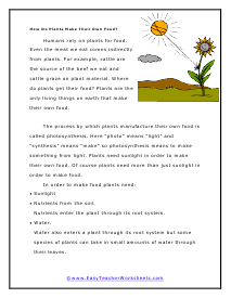 Plants Make Food Worksheet