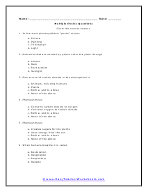 Food Multiple Choice Worksheet