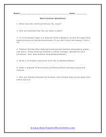 Food Short Answer Worksheet