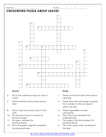 Leaves Crossword Worksheet