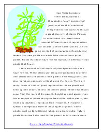 Plants Reproduce Worksheet