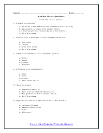 Flowering Multiple Choice Worksheet